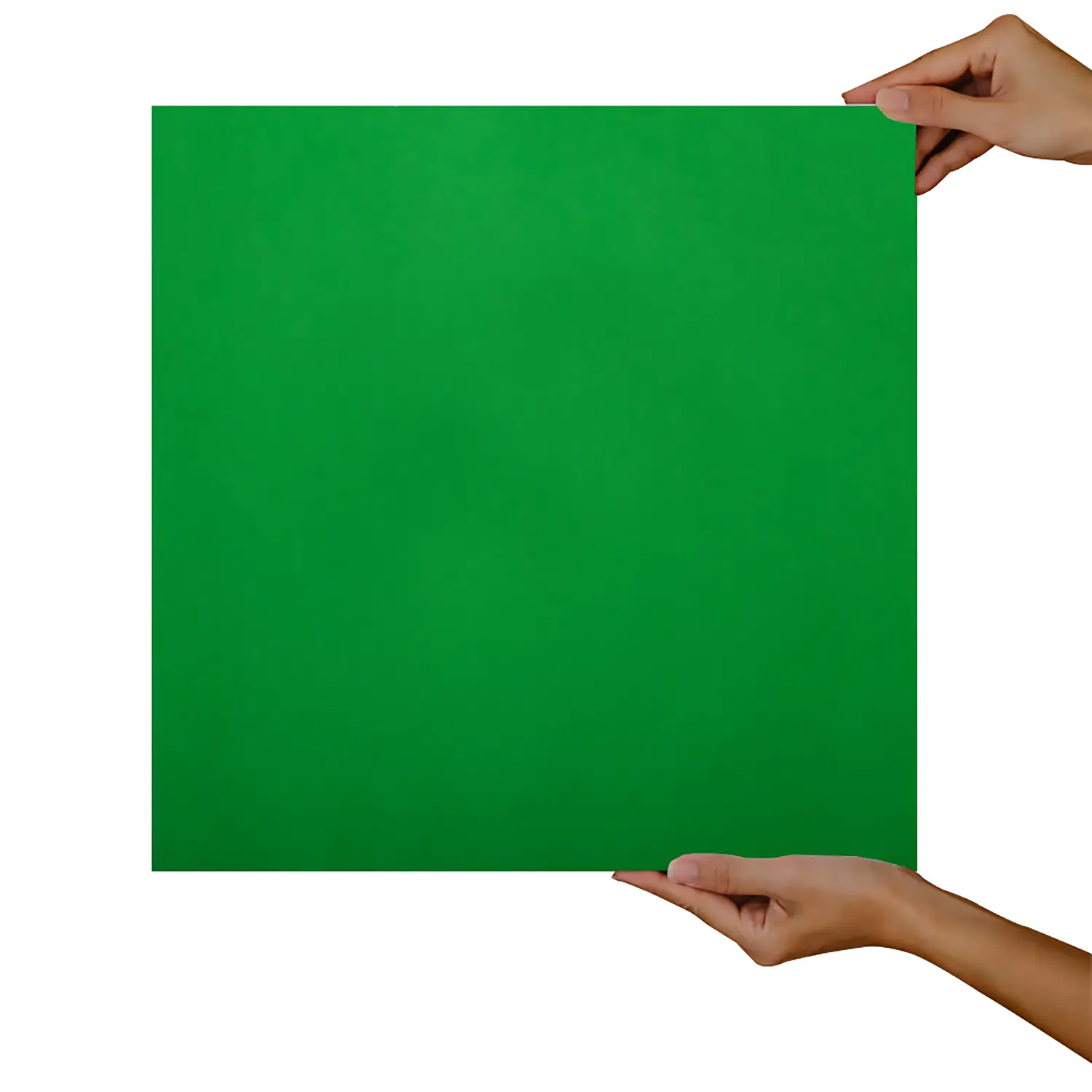 Carta Velina Verde - 24 Fogli 50x70 cm - Carta e cartoncino