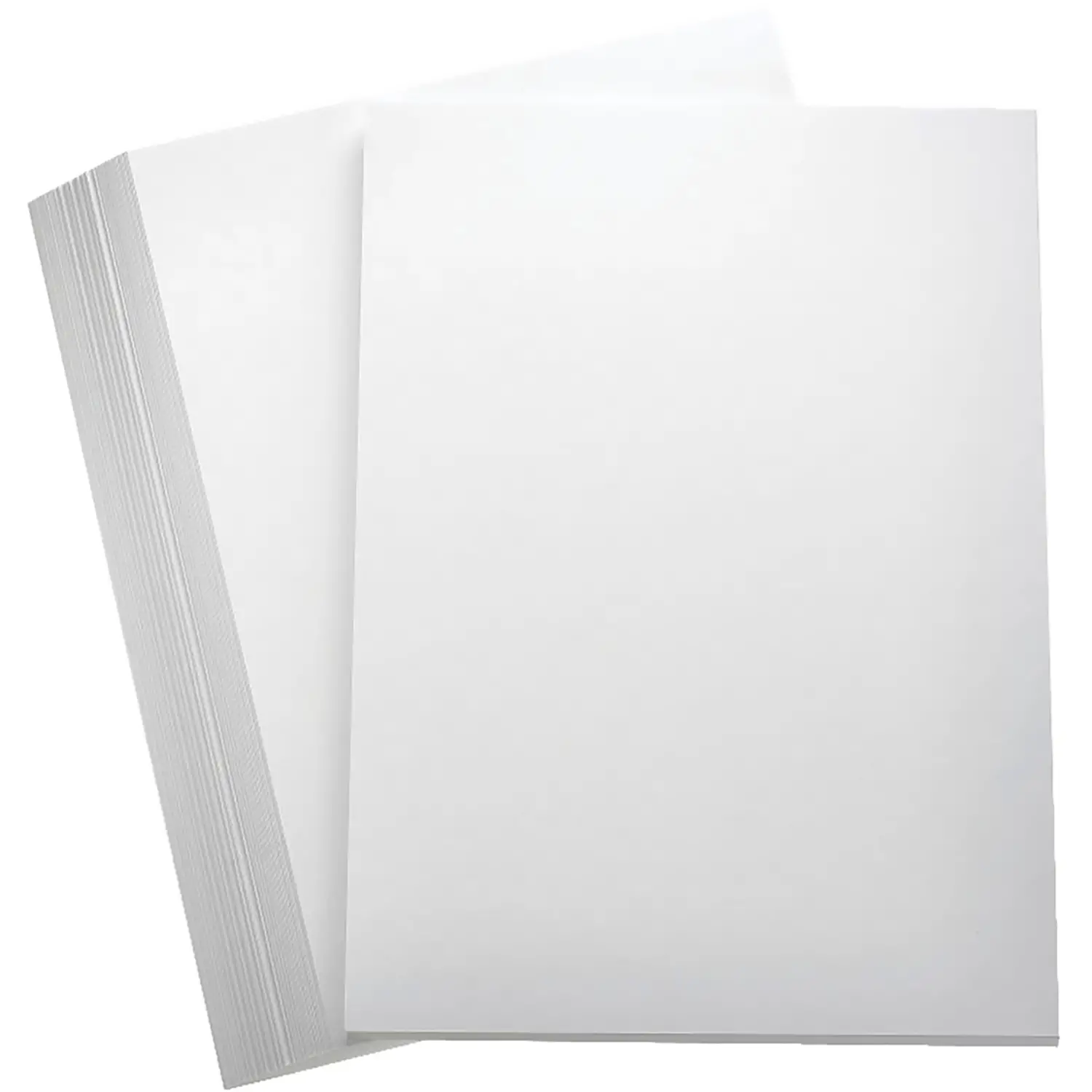Cartoncino Vivaldi Canson 185 g/m² - 50 Fogli A4 Bianco - Carta e cartoncino