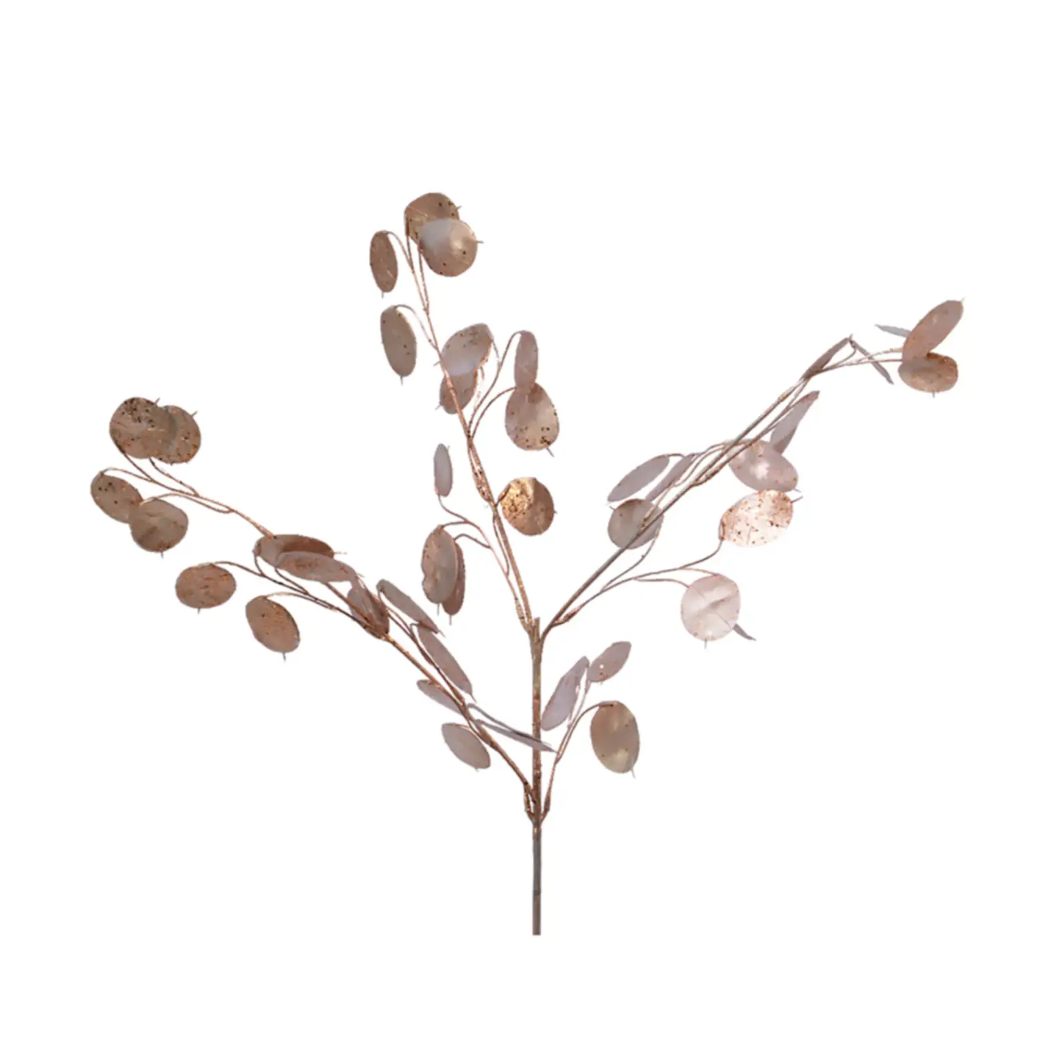 Ramo Silver Dollar Effetto Spray Bronzo 75 cm – Decorazioni Natalizie Eleganti - fiori e ghirlande
