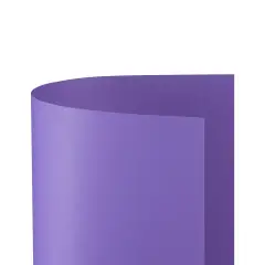 Cartoncino Bristol Liscio 200 gr - 25 Fogli 50x70 cm - Violetto