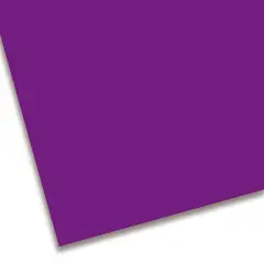 Cartoncino Colorato Premium Liscio 50x70 cm Viola – 200 g/m² FSC
